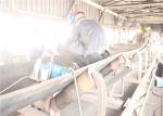 Heat Resistance Conveyor Belt Vulcanizer For Steel Plant 1200 Mm Platen