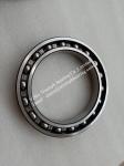 Deep Groove Ball Bearings 61924