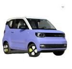 Pure Electric Wuling Hongguang Mini Car Cute Look 3-door Body Structure High