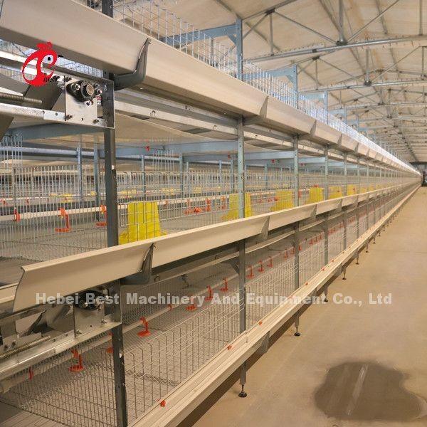 Buy cheap 45 Days A H Type Broiler Cage 25 Years Lifespan With Drinkers And Feeders Star from wholesalers