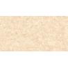 Buy cheap Glazed Wall Spanish Porcelain Tile 400x800 Mm Size Abrasion Resistance from wholesalers