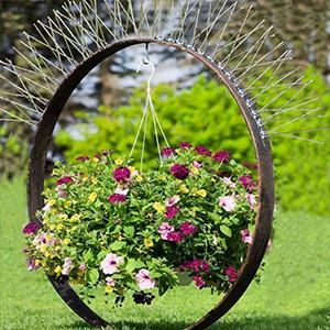 Buy cheap Spikes for birds animal stainless steel bird spikes window sills from wholesalers