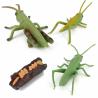 Buy cheap 4 PCS Realistic Insect Locust Animal Life Cycle Model Figure Cake Toppers Learning Development Toys for Boys Girls Kids from wholesalers