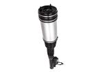 A2203202338 Mercedes Benz Air Suspension Parts Rear Strut Shock Absorber S Class