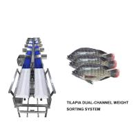 Buy cheap Waterproof 12 Grades Multihweight Sorter Machine For Fresh Food Fish / Sausage / product
