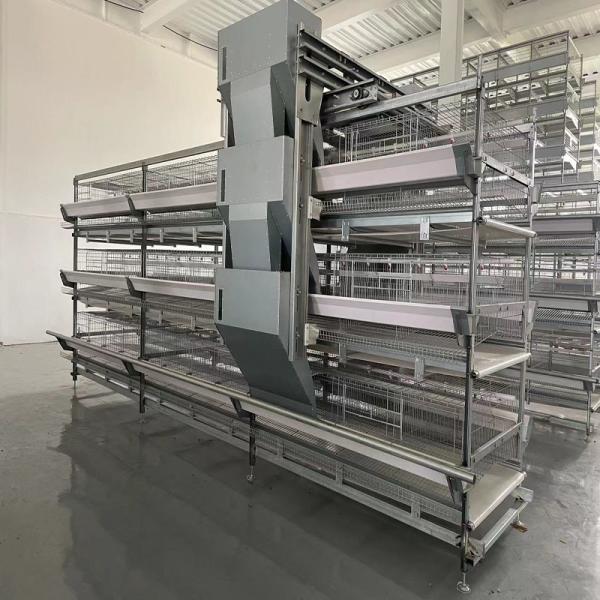 Buy cheap Poultry Farming Battery Chicken Cage H Type Fully Automatic For 50000 Egg Layer Hens from wholesalers