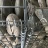 Buy cheap Galfan Welded Gabion Retaining Walls 200x100x50 Welded Gabion Box Garden Fence from wholesalers