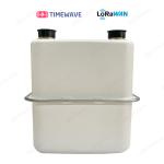 10-yr Battery LoRaWAN Gas Meter IP68 Waterproof For Horizontal Installation
