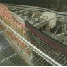 Buy cheap stainless steel table top chain conveyors slat conveyor flat top conveyor systems from wholesalers