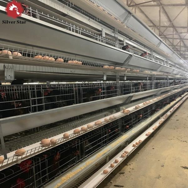 Buy cheap 4 Tiers Chicken Egg Layer Battery Cage For Tanzania Poultry Farm from wholesalers