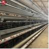 Buy cheap 4 Tiers Chicken Egg Layer Battery Cage For Tanzania Poultry Farm from wholesalers