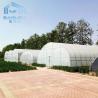 Buy cheap PE Film Growing Cabbage Agriculture Single-Span 10m Width Tunnel Plastic Greenhouse from wholesalers