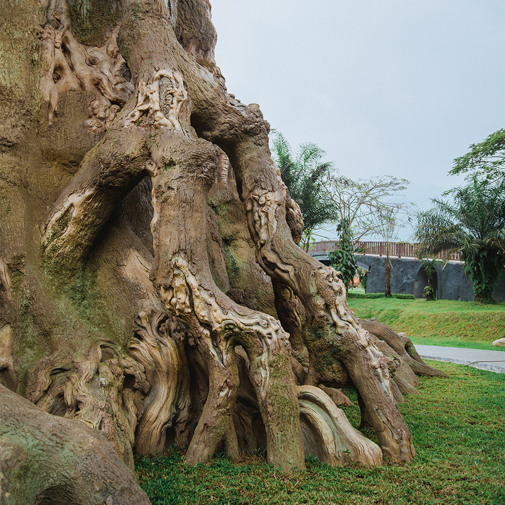 30m Tall Magic Treehouse for Sale – Explore Life of Trees & Artificial House Trees Designs"