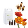 Buy cheap High Concentration Perfume Fragrances Daily Flavor Essential Oil Perfume from wholesalers