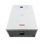 Thermostat Balanced Wall Mounted Natural Gas Boilers 40KW Central Heating Combi