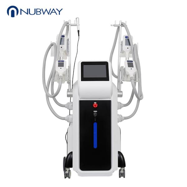 Buy cheap The professional fat freeze slim freezer multifunction beauty machine cryotherapy from wholesalers