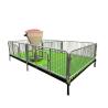 Buy cheap Pig Farm Industry Nursery Cage For Weaning Pigs from wholesalers