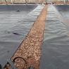 Buy cheap Waterproof HDPE Landfill Geomembrane Liner 1mm 1.5mm Pond Dam Liner Prices in Kenya from wholesalers