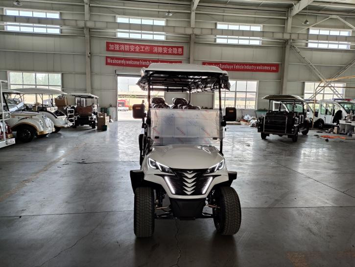 OEM 8 Seaters Golf Cart Off Road Customized White 72V 100Ah Lead Acid Battery
