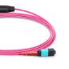Buy cheap Pink OM4 MTP MPO Fiber Cable Multimode 24-144 Fibers Senko from wholesalers