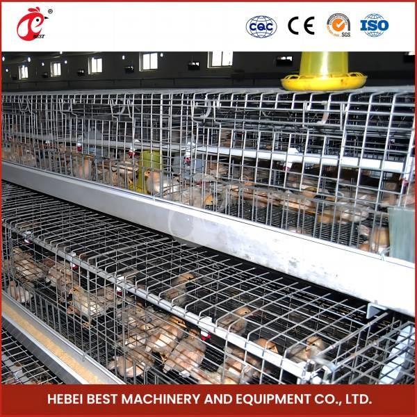Buy cheap Poultry Farm Battery Baby Chick Brooder Cage For Sales Ada from wholesalers