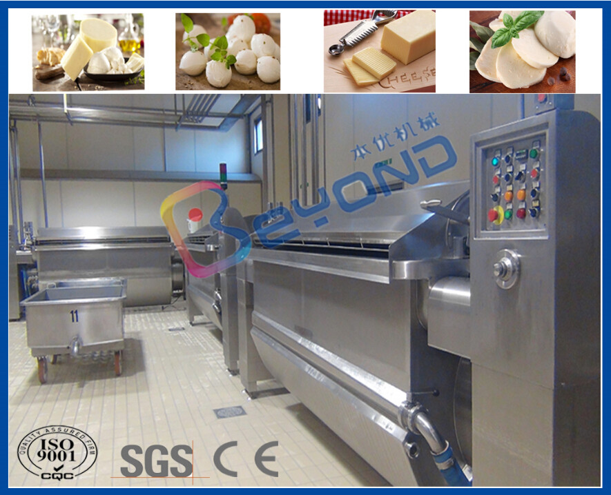 Fresh Milk 1000L Mozzarella Cheese Making Equipment
