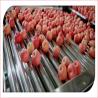 Buy cheap Automatic Electronic Fruit Sorter Ande Weigh Machine from wholesalers