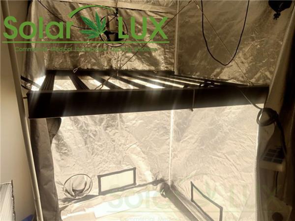 Buy cheap RJ14 Dimming Hydroponic G2 Horticultural LED Grow Lights from wholesalers