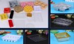 Plastic disposable food/sushi tray,Wholesale Plastic Pe Blister Frozen Food Tray