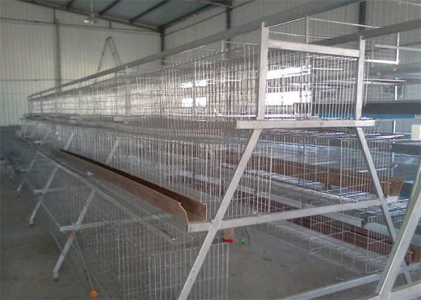 Buy cheap 3 Tier 4 Doors A Frame Layer Cages / Q235 Chicken Battery Cage from wholesalers
