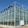Buy cheap US 40/Piece Agriculture Greenhouse Construction Polycarbonate Sheet Covered for Tomatoes from wholesalers