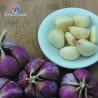 Buy cheap 90KG 220V Stainless steel garlic shallot peeling machine peeling machine small garlic peeling machine from wholesalers