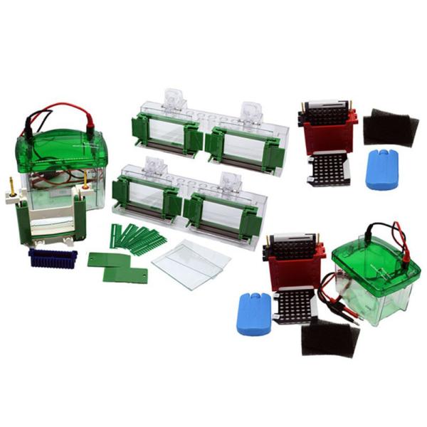 Buy cheap Nucleic Acid Vertical Horizontal Gel Electrophoresis Apparatus 245×250mm from wholesalers