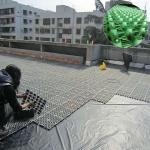 HDPE Plastic Water Impounding Drainage Board Garage Roof Greening Garden Sale at