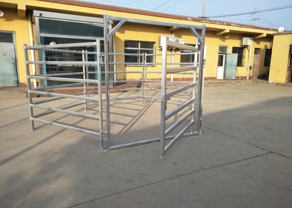 Buy cheap Australia Standard Steel Cattle Fence , Galvanized Horse Fence Panels With 5 / 6 Rail from wholesalers