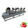 Buy cheap 220V 380V Air Drying Machine For Fruit And Vegetable Food Potato Chips Dehydration from wholesalers