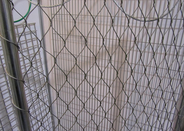 Custom SS316 Wire Rope Net X-Tend Animal Zoo Mesh Parrot Aviary Bird Netting
