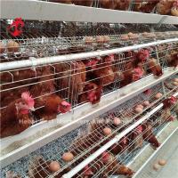 Buy cheap Save Area Poultry Farming Cage System , 3 Tiers Commercial Chicken Cages Ada product