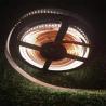 Buy cheap 24v High Brightness 3014 Single Row Led Light Strip Suitable For Indoor Roof Dark Groove Decorative Lighting from wholesalers