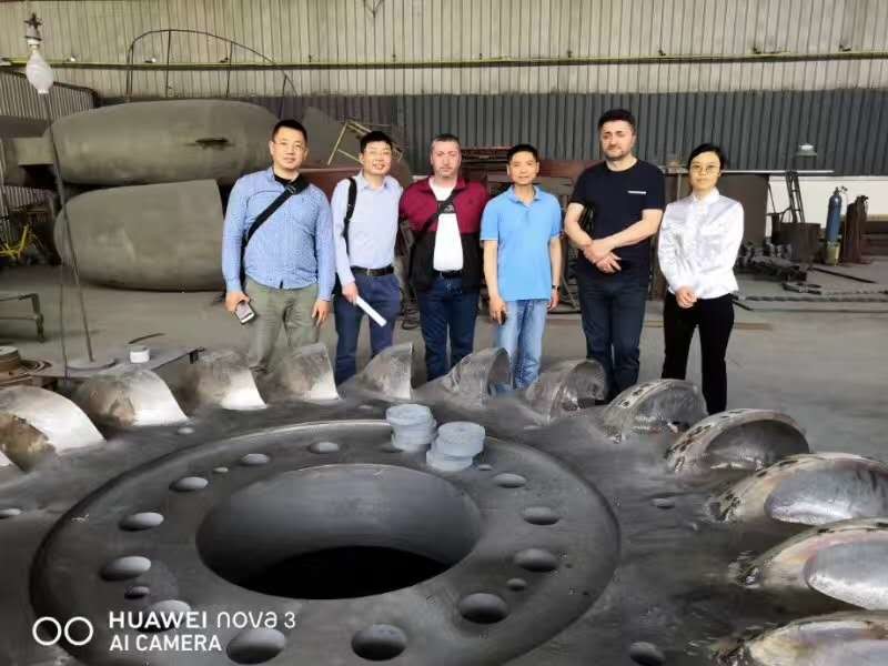 Oem Pelton Turbine Generator
