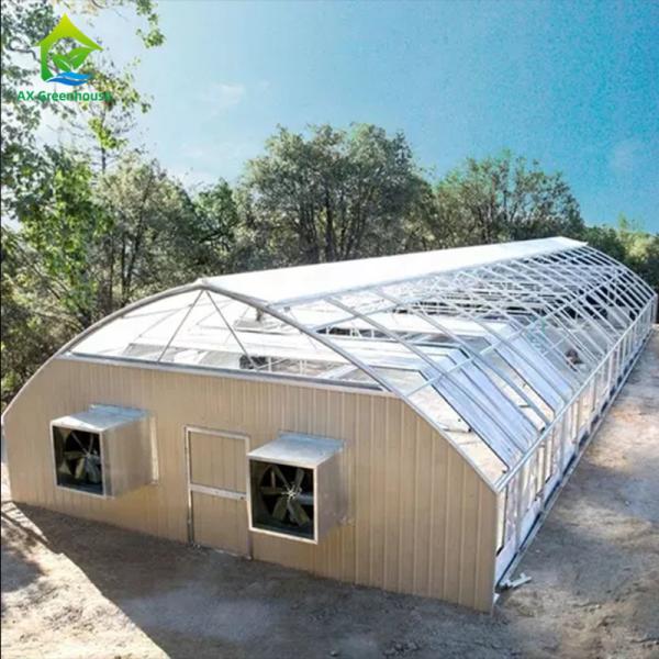 Buy cheap 3.2*3 Steeple Auto Blackout Greenhouse Light Dep Caterpillar Tunnel Greenhouse from wholesalers