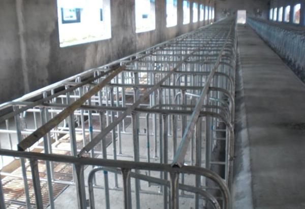 Buy cheap Pig project-Individual stall from wholesalers