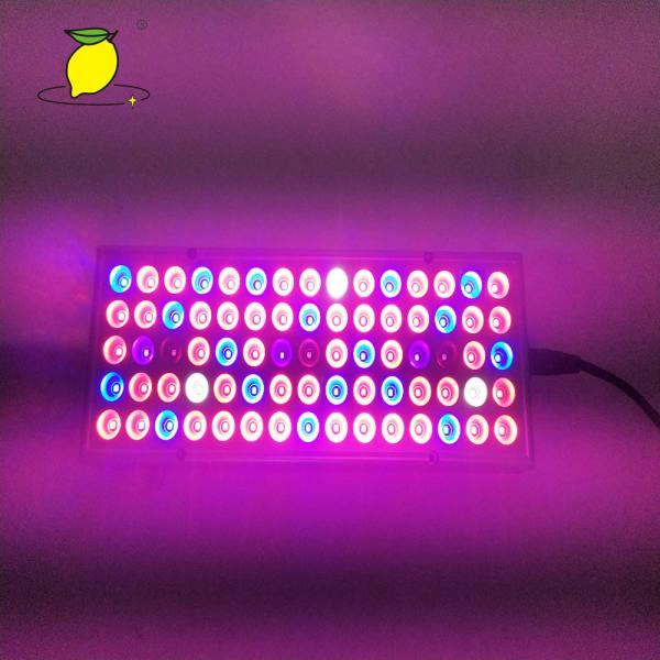 Buy cheap Waterproof 625nm 265V Plant Growth Light from wholesalers