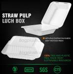 School lunch box, Fresh Preserved Compartment PLA Lunch Box, Disposable clear