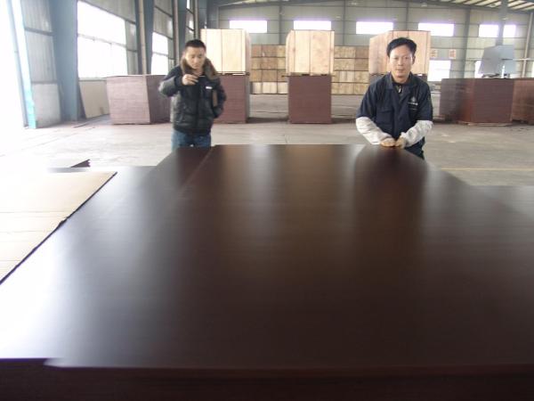 Shandong Linyi factory price 18mm melamine plywood film faced plywood poplar/