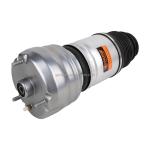 Front Right Shock Absorber for Porsche Palamela 970 97034315233 97034315235