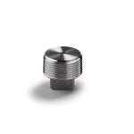 Silver Coated WZ Stainless Steel 304 316 316L High Pressure Forged Square Plug