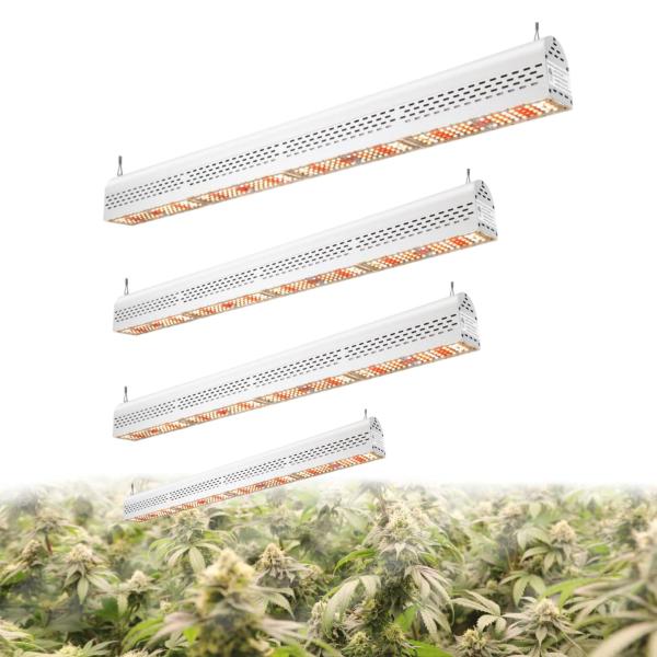 Buy cheap Full Spectrum Waterproof Led Grow Light Bar 300W For Veg Bloom White Shell from wholesalers
