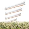 Buy cheap Full Spectrum Waterproof Led Grow Light Bar 300W For Veg Bloom White Shell from wholesalers