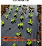 plastic tomatoes home garden polytunnel greenhouse film,Film Covering Tomato
